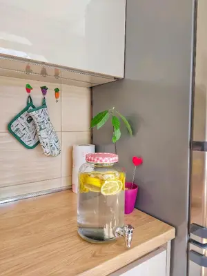 a jar of water on a kitchen counter with a plant at Studios Merdović in Budva