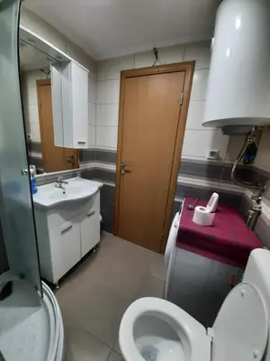 a bathroom with a toilet and a sink at Stan apartman Lana Budva in Budva