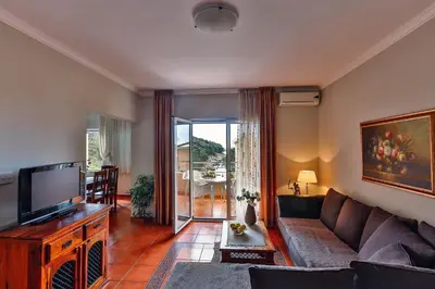 a living room with a couch and a tv at Apartments Misko in Utjeha
