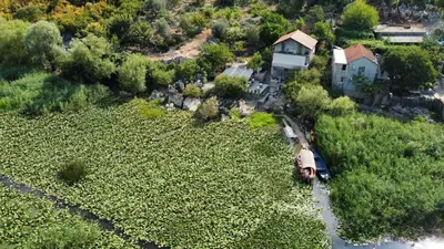 an aerial view of a train in a field of flowers at Apartments Nikola in Bar