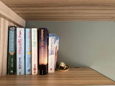 a row of books sitting on a shelf at Wonder Apartments in Budva
