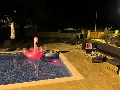 a pink plastic swan in a swimming pool at night at Green House in Virpazar