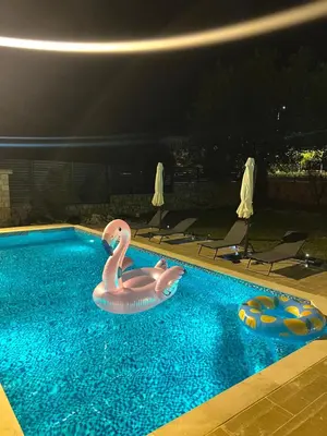 a swimming pool with two swans in the water at Green House in Virpazar