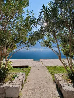 a pathway leading to the water with trees in the foreground at Apartman Pontica in Kotor