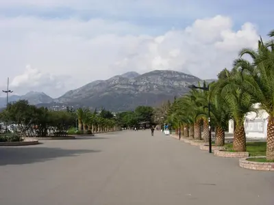 a person walking down a street with palm trees and mountains at Rooms & Apartments Anka in Bar