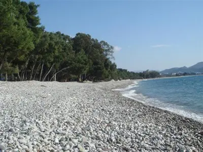 a rocky beach next to the water with trees at Rooms & Apartments Anka in Bar