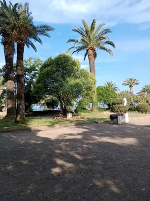 a park with two palm trees and a bench at Studio apartmani Dream Iv in Bar, Susanj