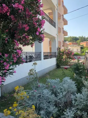 a garden in front of a building with pink flowers at Apartmani Vedrana in Sutomore