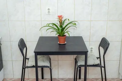 a black table with two chairs and a plant on it at Studio Apartment Silva in Kotor