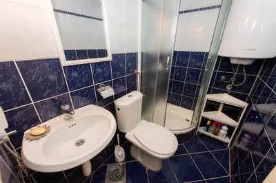 a bathroom with a toilet and a sink and a shower at Studio Apartment Silva in Kotor