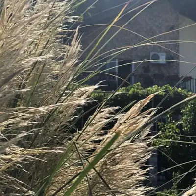 Skadar Lake Apartment -Karolina