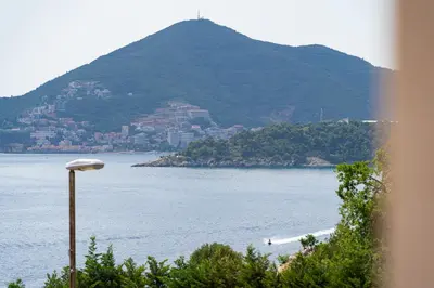 a view of a large body of water with a mountain at Niki Apartments Pržno in Sveti Stefan