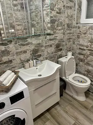 a bathroom with a toilet and a sink and a washing machine at Casa di Kiara, Skadar Lake in Dodoši