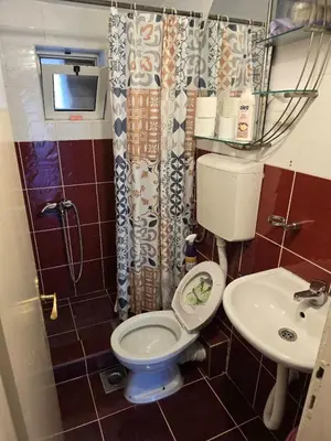 a small bathroom with a toilet and a sink at Apartmani Liki in Ulcinj