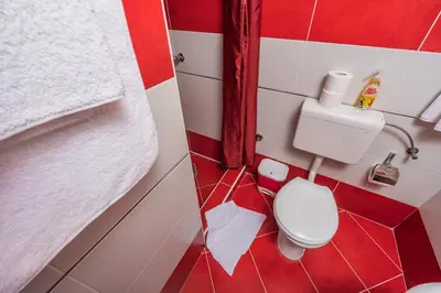 a small bathroom with a toilet in a room at Adzic Apartments in Budva