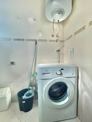 a washing machine in a bathroom with a toilet at Family One bedroom apartment with Garden view in Budva