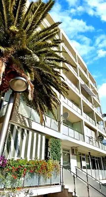 a large building with a palm tree in front of it at Studio center Budva in Budva
