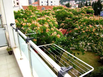 a balcony with a bush of flowers on a building at Studio center Budva in Budva