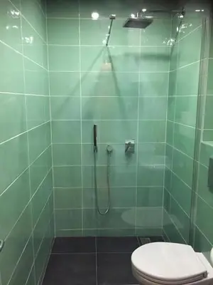 a green bathroom with a toilet and a shower at Apartment Skada in Sveti Stefan