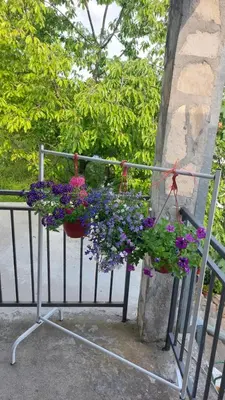 two pots of flowers hanging on a fence at Guest House Vodica in Virpazar
