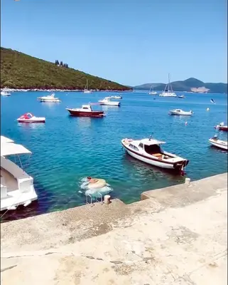 a pelican standing on the shore of a body of water with boats at Lazarus Bigova apartments in Tivat