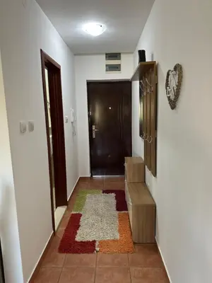 a hallway with a door and a rug at Bella Apartman in Podgorica