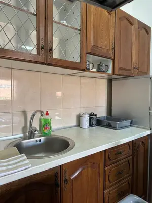 a kitchen with a sink and wooden cabinets at Bella Apartman in Podgorica