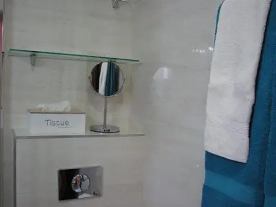 a bathroom with a shower with a mirror and a towel at Apartment B&S in Budva