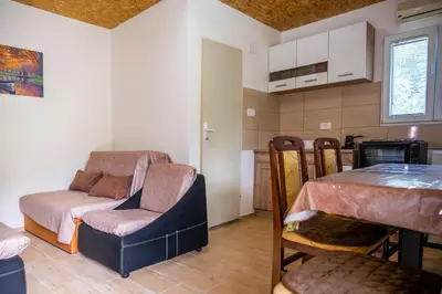 a living room with a table and a chair and a kitchen at Vikendica Luka in Čanj