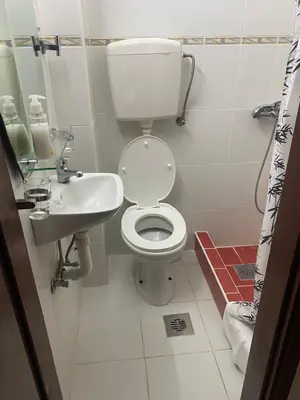 a small bathroom with a toilet and a sink at ILIC APARTMENTS in Budva