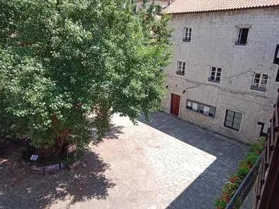 an empty courtyard with a tree and a building at Centar Starog Grada in Kotor