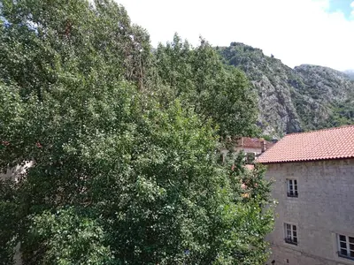 a tree in front of a building and a building at Centar Starog Grada in Kotor