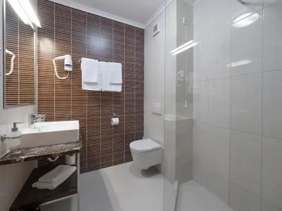 a bathroom with a toilet and a sink and a shower at Hotel Tara Becici in Budva