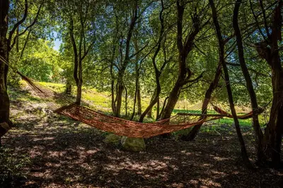 a hammock in the middle of a forest at Boljesestre Lake retreat in Golubovci