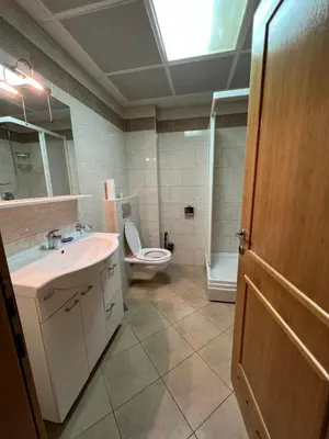 a bathroom with a sink and a toilet and a shower at Seaside Apartment in Becici in Budva