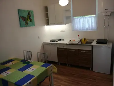 a kitchen with a table and a sink and a table and a table and chairs at Apartmani Stanislav in Petrovac na Moru