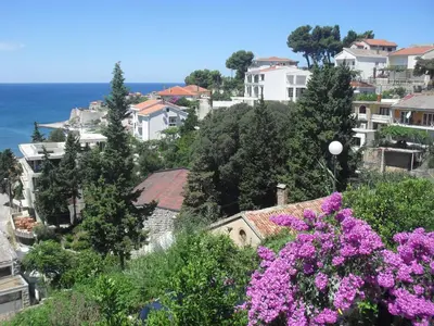 a view of a city with purple flowers at Apartment Batricevic in Ulcinj