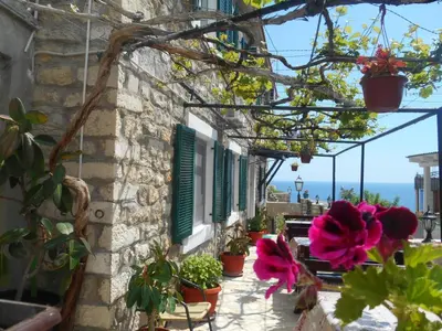 a building with flowers on the side of it at Apartments Zuto in Ulcinj