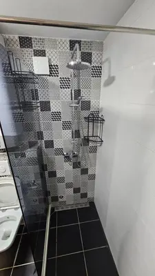 a bathroom with a shower and a toilet and a sink at Apartmani Lime in Petrovac na Moru