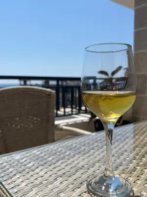 a glass of white wine sitting on a table at Perla apartmani in Petrovac na Moru