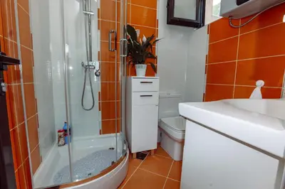 a bathroom with a shower and a sink and a toilet at Zoi apartment in Kotor