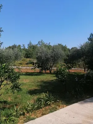 a park with trees and grass and a sidewalk at Apartman Petovic in Kotor