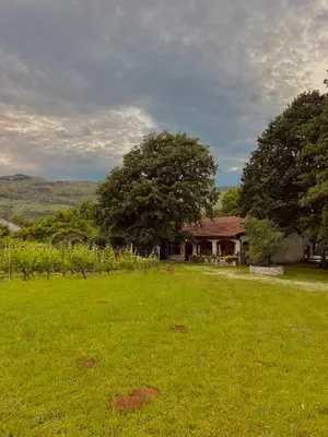 a house in the middle of a green field at Village house Velimirović in Danilovgrad