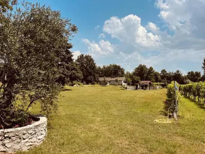 a field with trees and houses in the background at Village house Velimirović in Danilovgrad