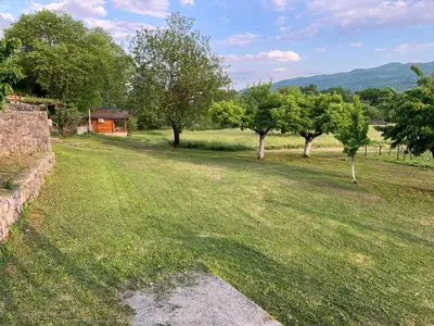 a field with trees and a house in the background at Purple Eye Camp & Winery in Podgorica
