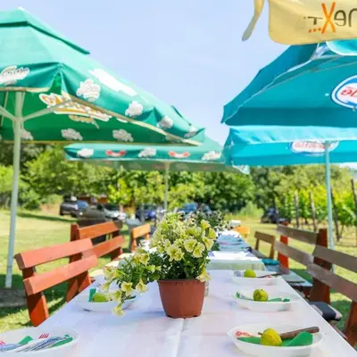 a long table with plates of food and blue umbrellas at Purple Eye Camp & Winery in Podgorica