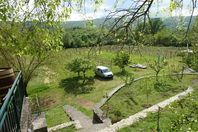 a white van parked in a field with trees at Purple Eye Camp & Winery in Podgorica