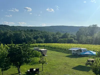 a view of a vineyard with a tent and a field at Purple Eye Camp & Winery in Podgorica