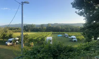 a group of vehicles parked in a field next to a vineyard at Purple Eye Camp & Winery in Podgorica