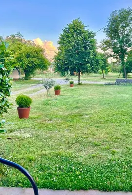 a field of grass with potted plants and trees at Apartman Boljević in Podgorica
